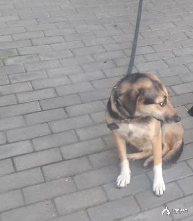 Митино спасайте, БЛАГОДАРНОСТЬ!!!!