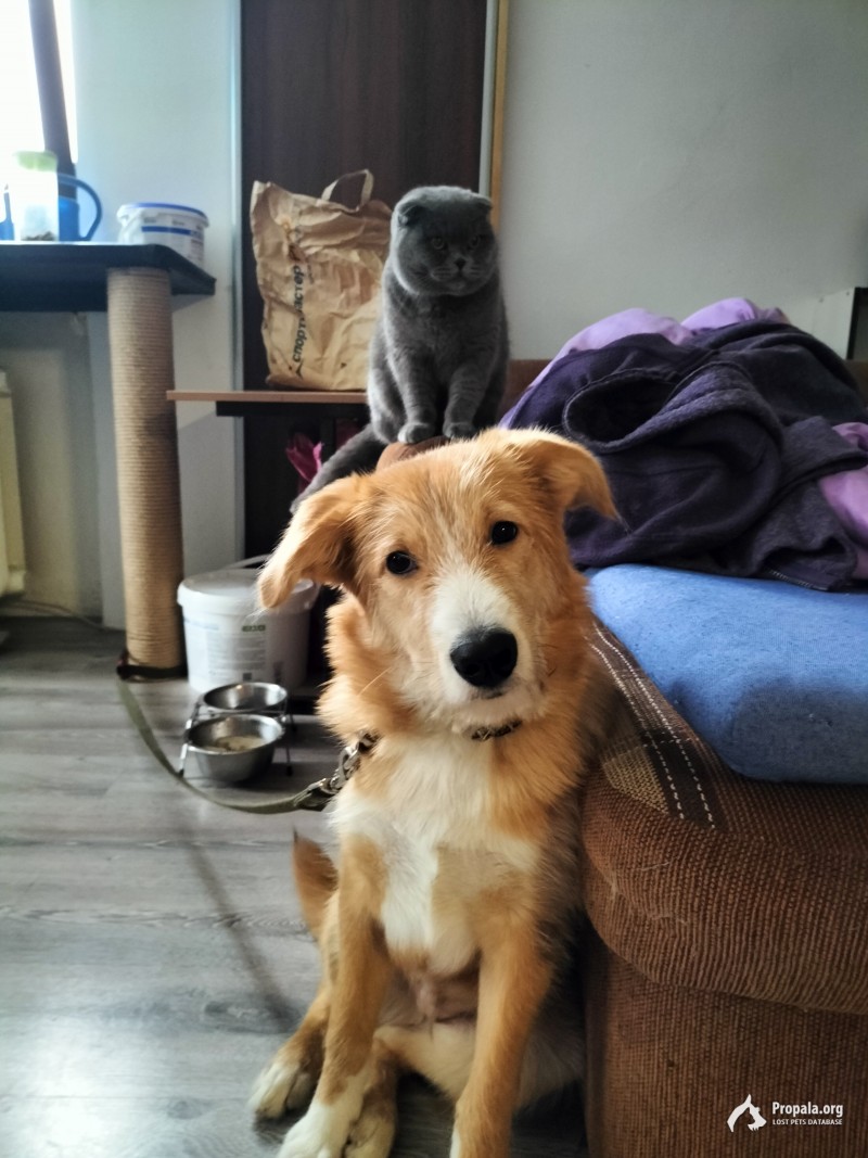 Пропала ночью с 31 на 1 января Калуга