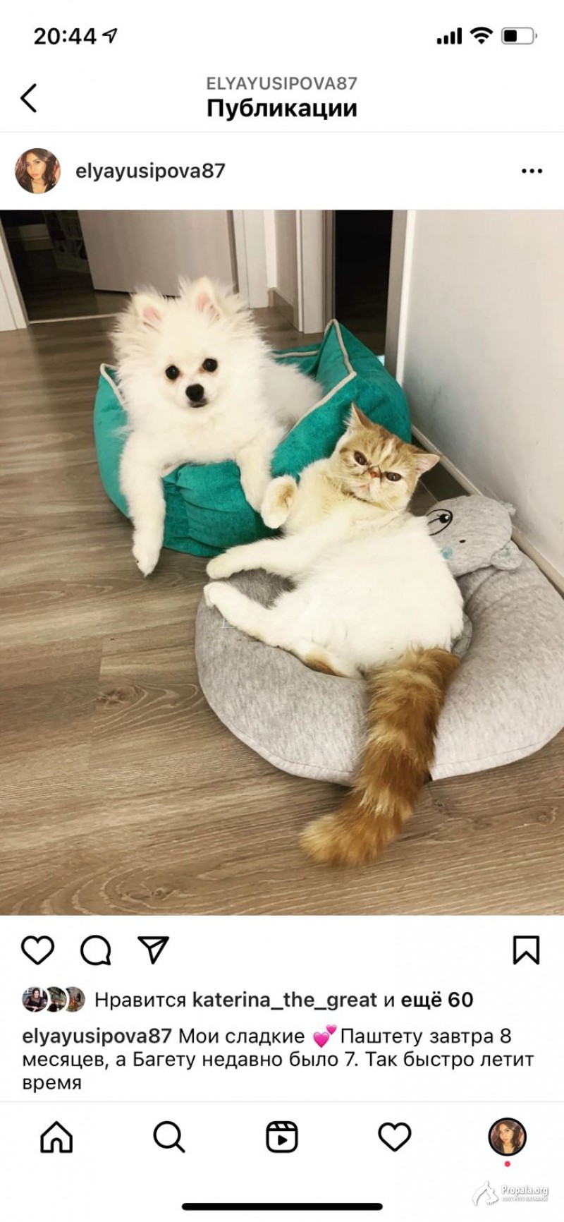 Помогите найти !