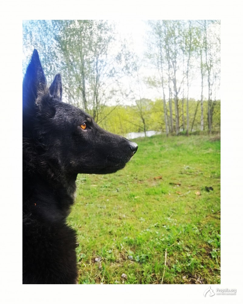 Потерялась!!!