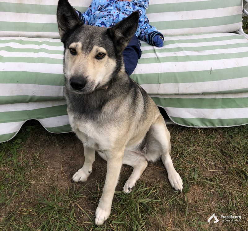 ПРОШУ ПОМОЩИ!