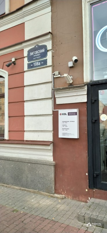 Бегает небольшая собачка по Лиговскому проспекту