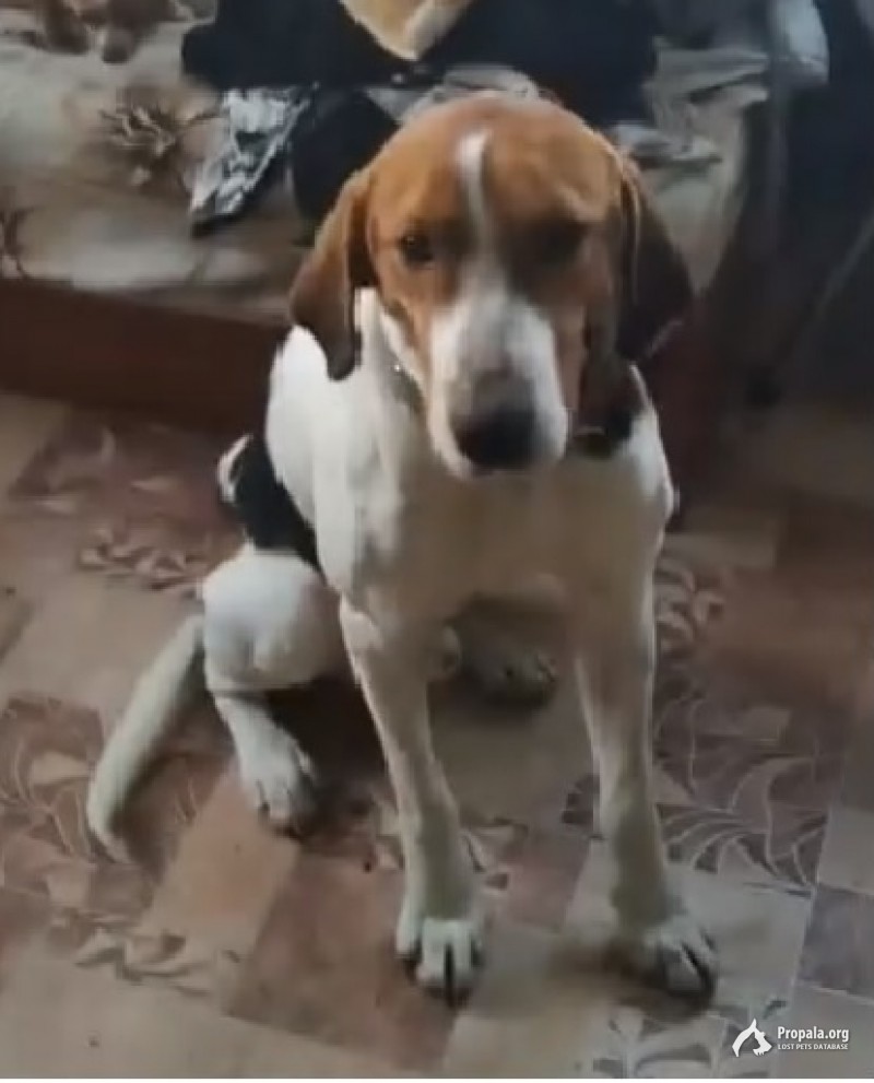 пропал 12.02.2022