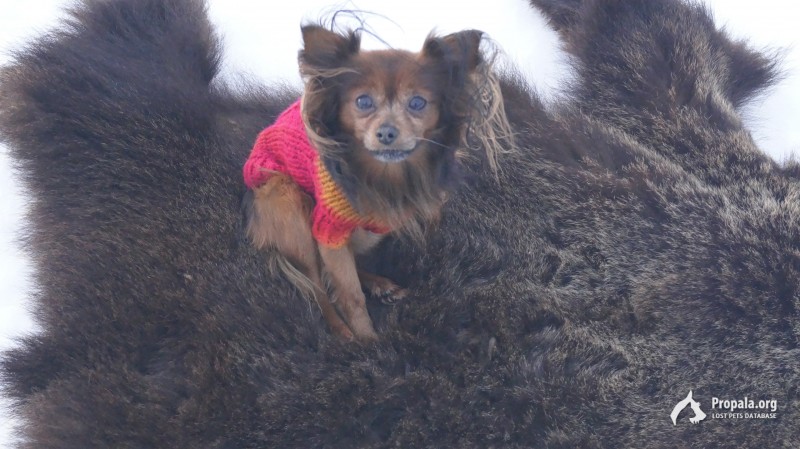 !!!Помогите, Потерялся!!!