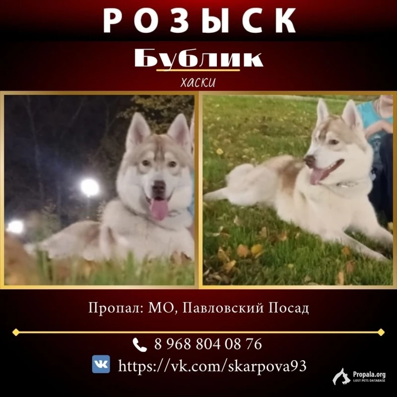 Помогите пожалуйста