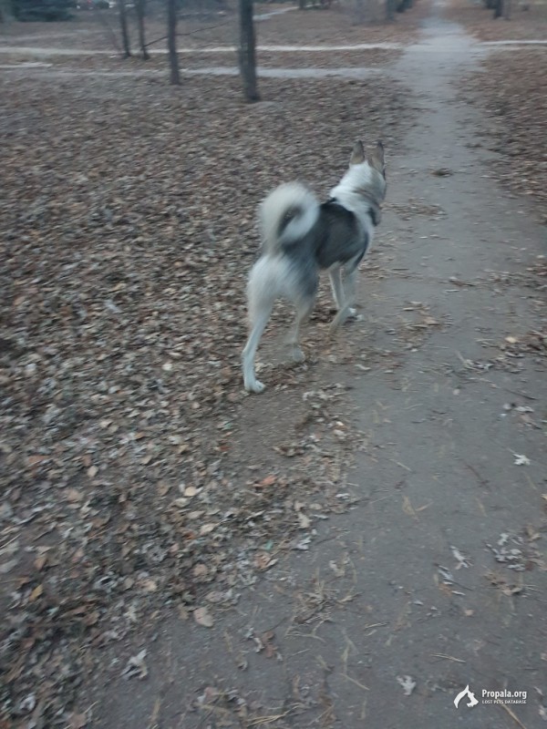 Кто потерял