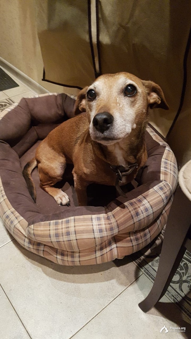 ПРОПАЛ ДРУГ !!!!