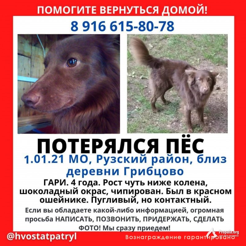 Пропал член семьи