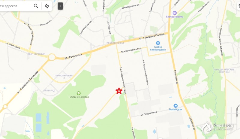 Собака ищет хозяина