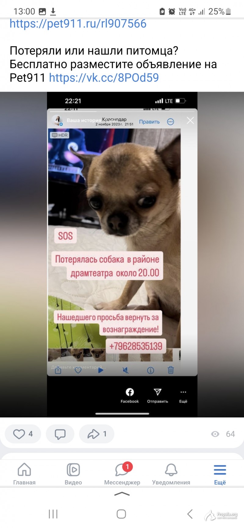 Пропала собака