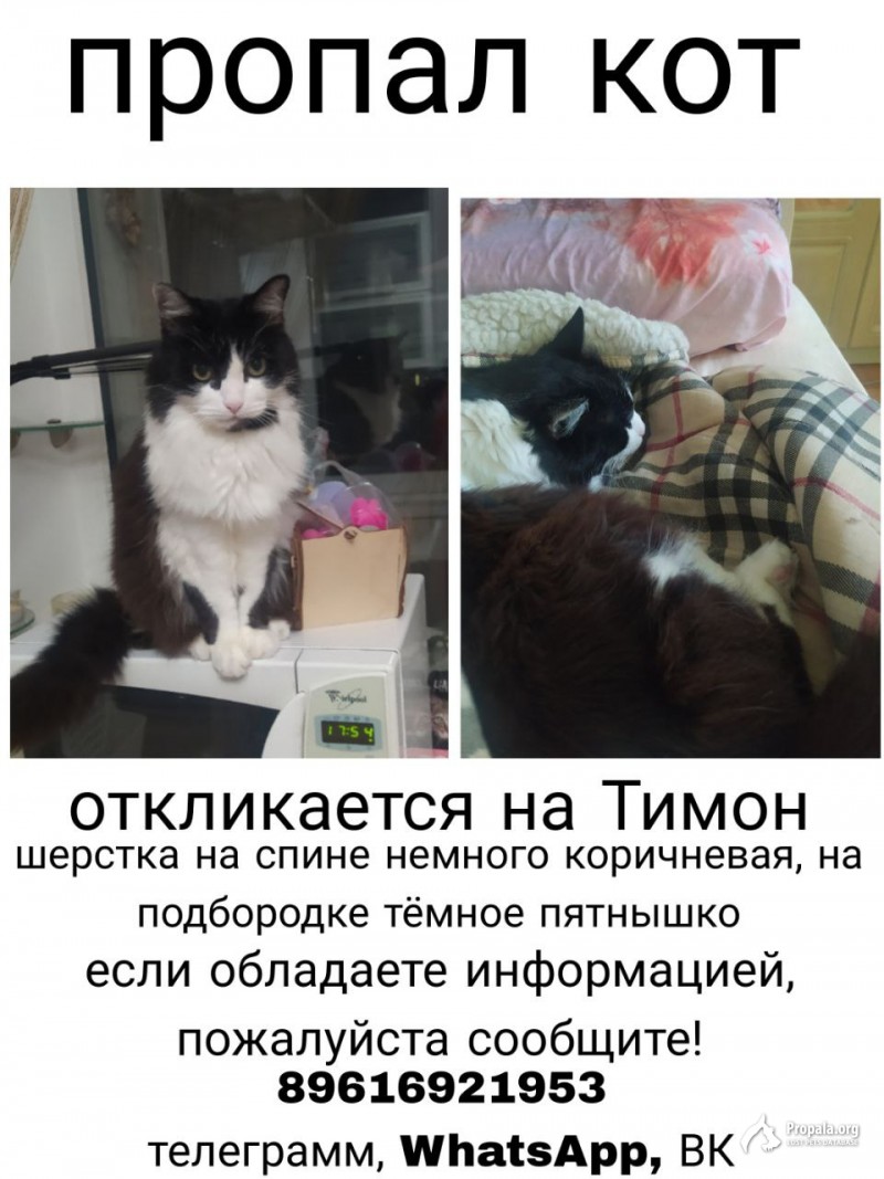 Пропал в Волгограде, из дома Депутатская 11а.