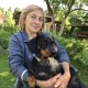 Пропала такса Можайские дали, Пушкино