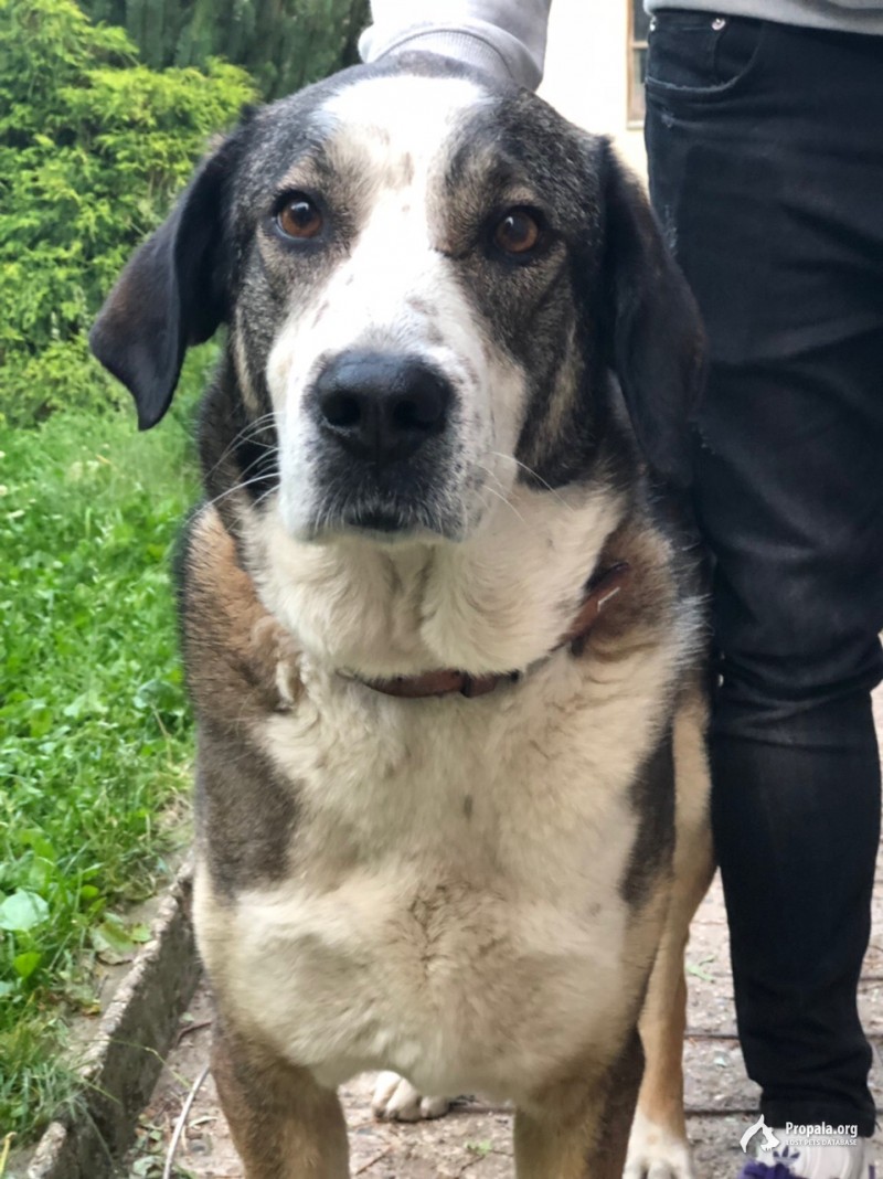 Пропала девочка!