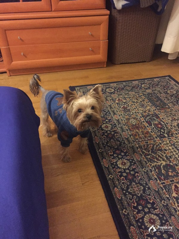 Потеряли члена семьи