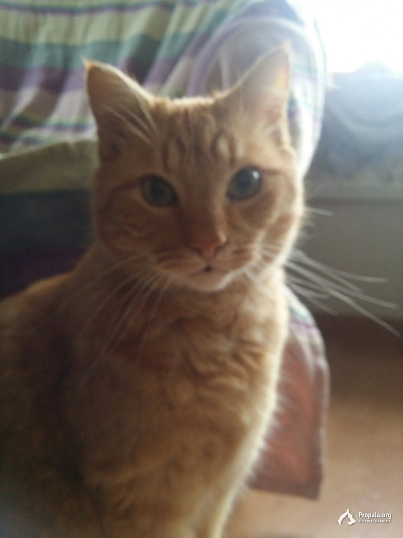 ВНИМАНИЕ, жители района Первомайсктий!