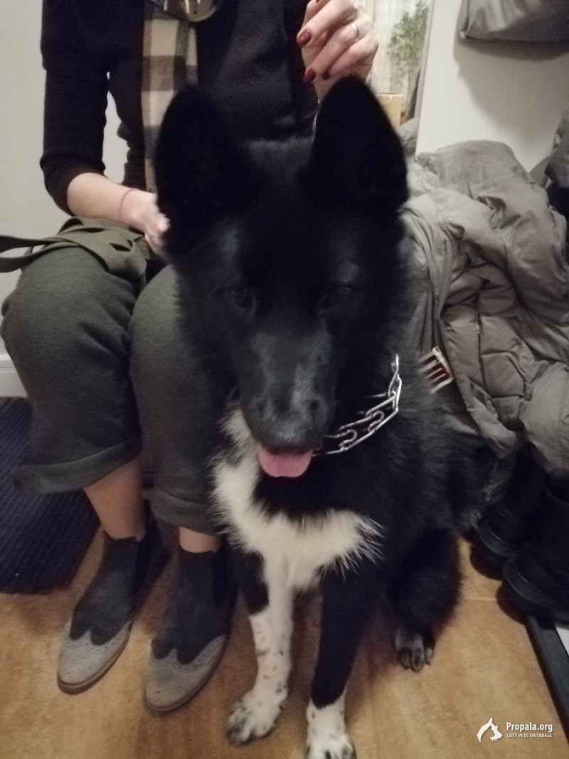 Найдена! Скорее всего девочка, в районе Пресни!