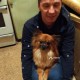 Пропала собака шпиц пр-зд Черепановых  Москва САО
