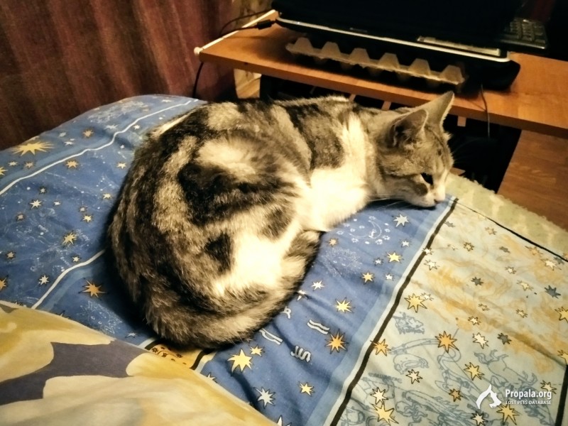 Срочно ищем хозяина!!!
