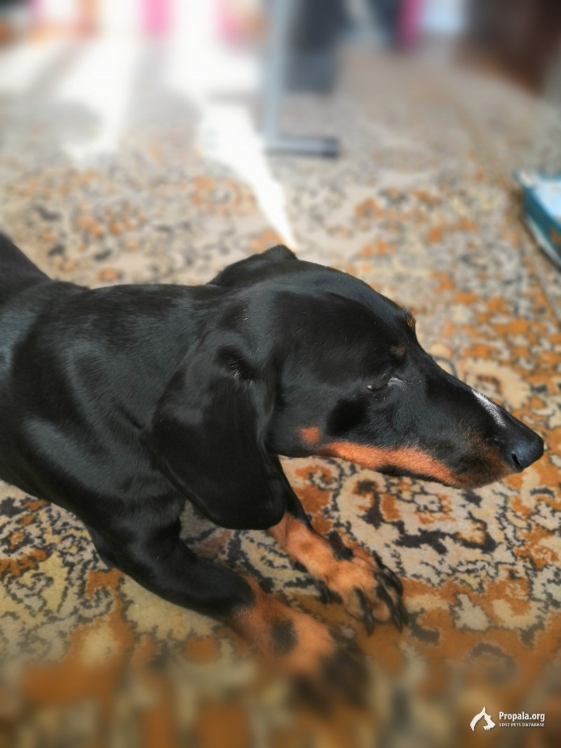 Помогите найти друга!