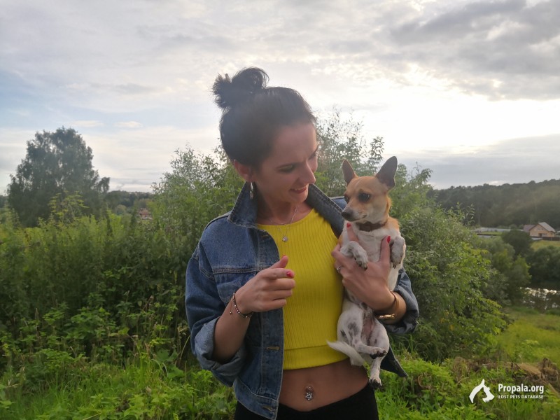 Серпухов! МО!  Пропала собака!