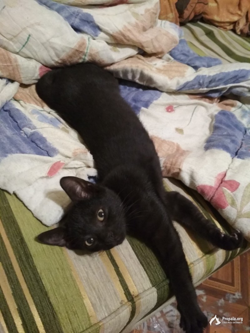 срочно, пропал малыш