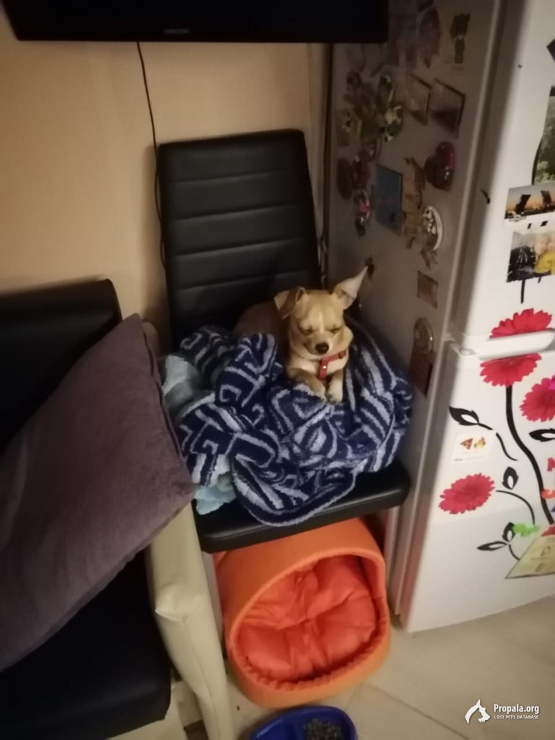 Помогите найти