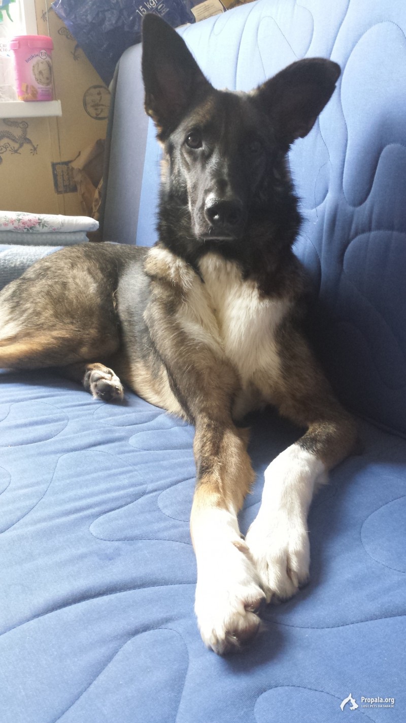 Дзержинский-Токарево-Котельники-Лыткарино Моск.область