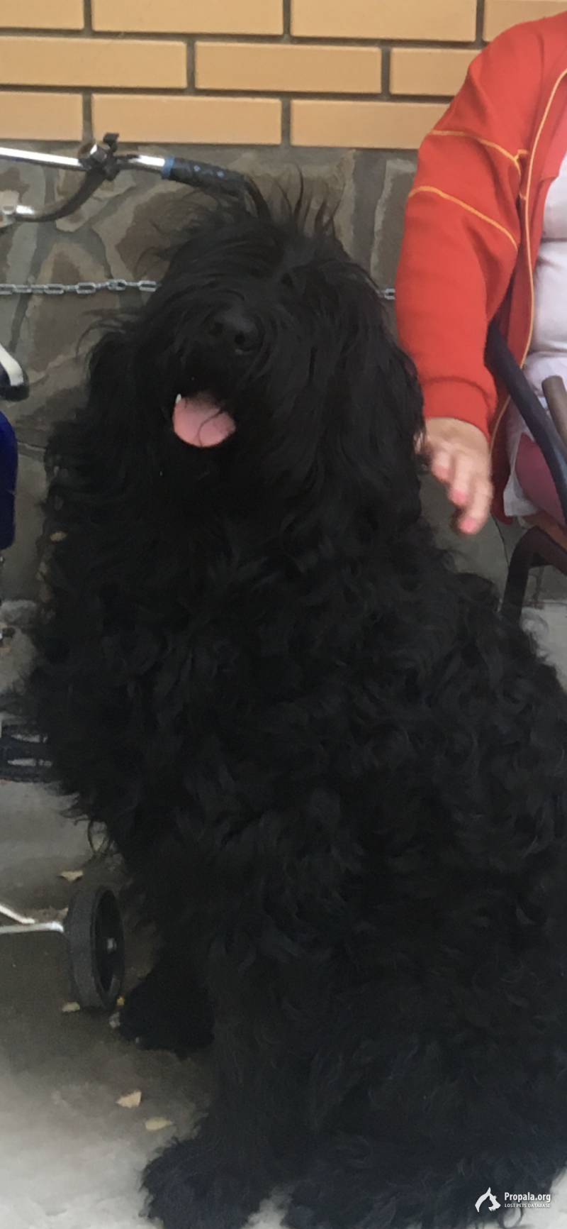 Помогите найти