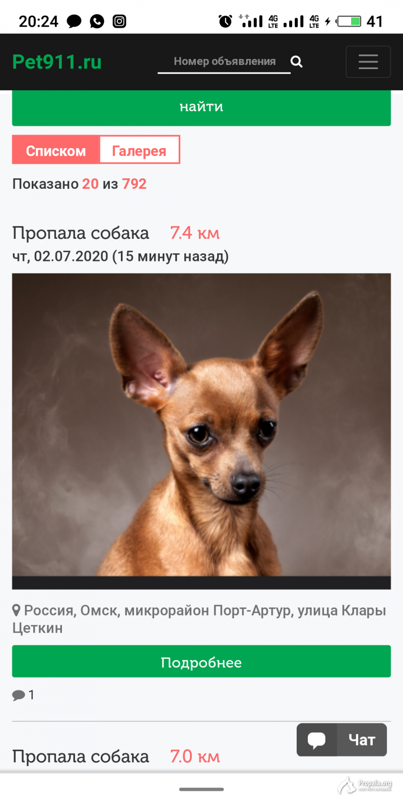 Пропала собака той терьер