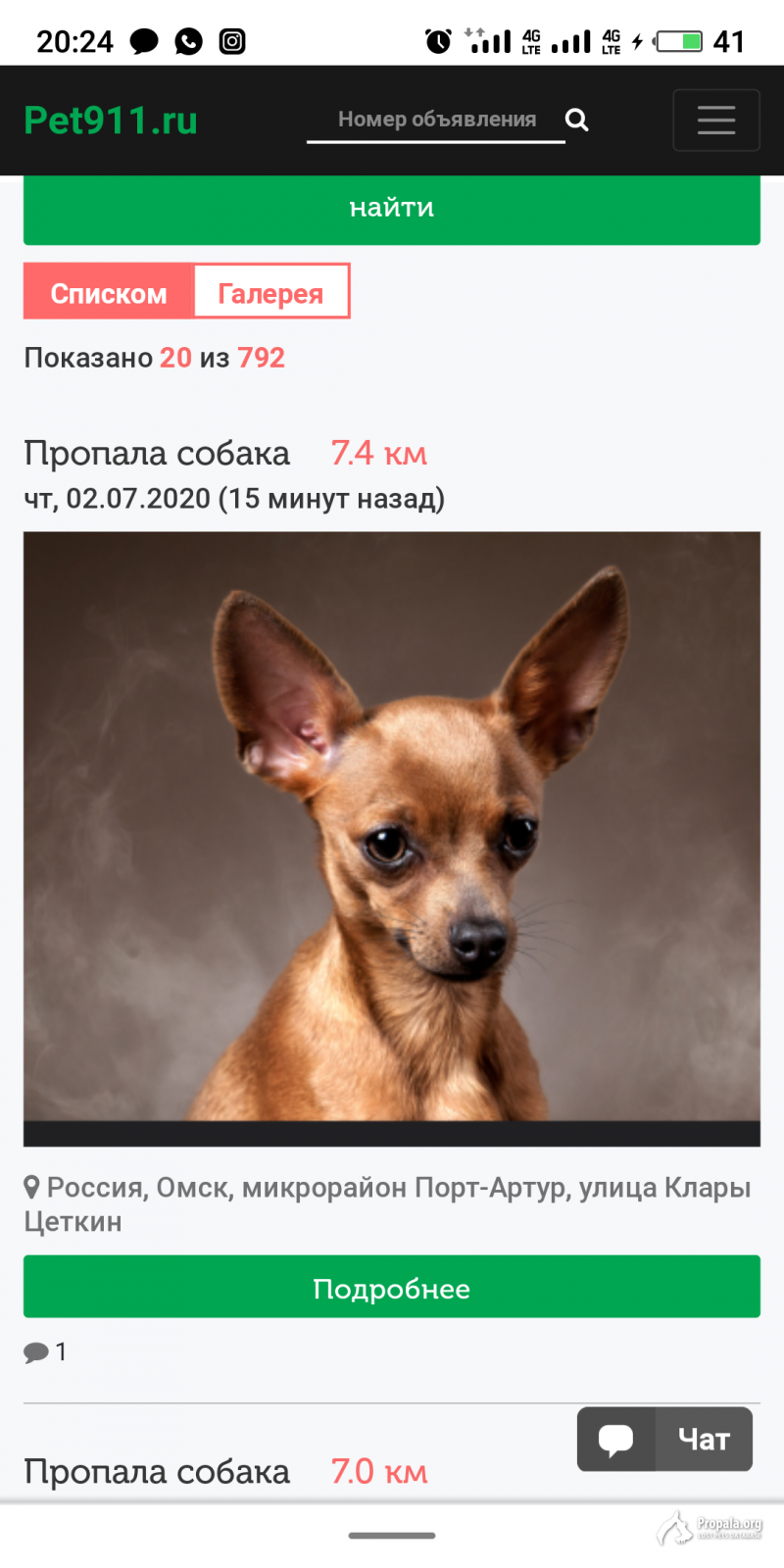 Пропала собака той терьер 