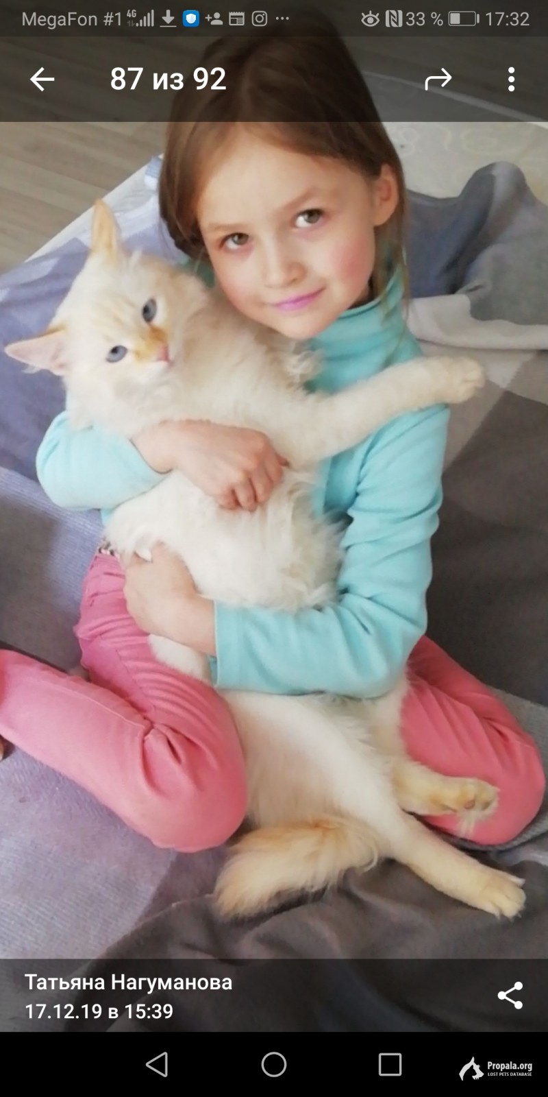 Пропал кот ред поинт, голубые глаза!