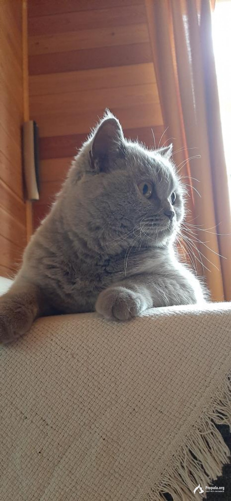 Помогите найти!