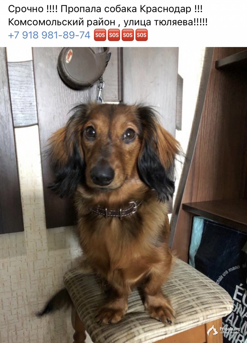 Срочно !!! Любая информация