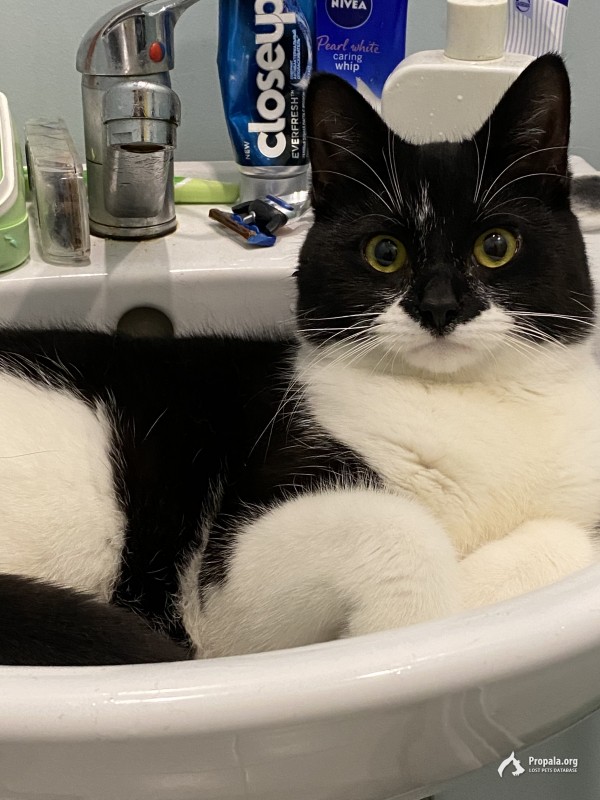 Выпал из окна