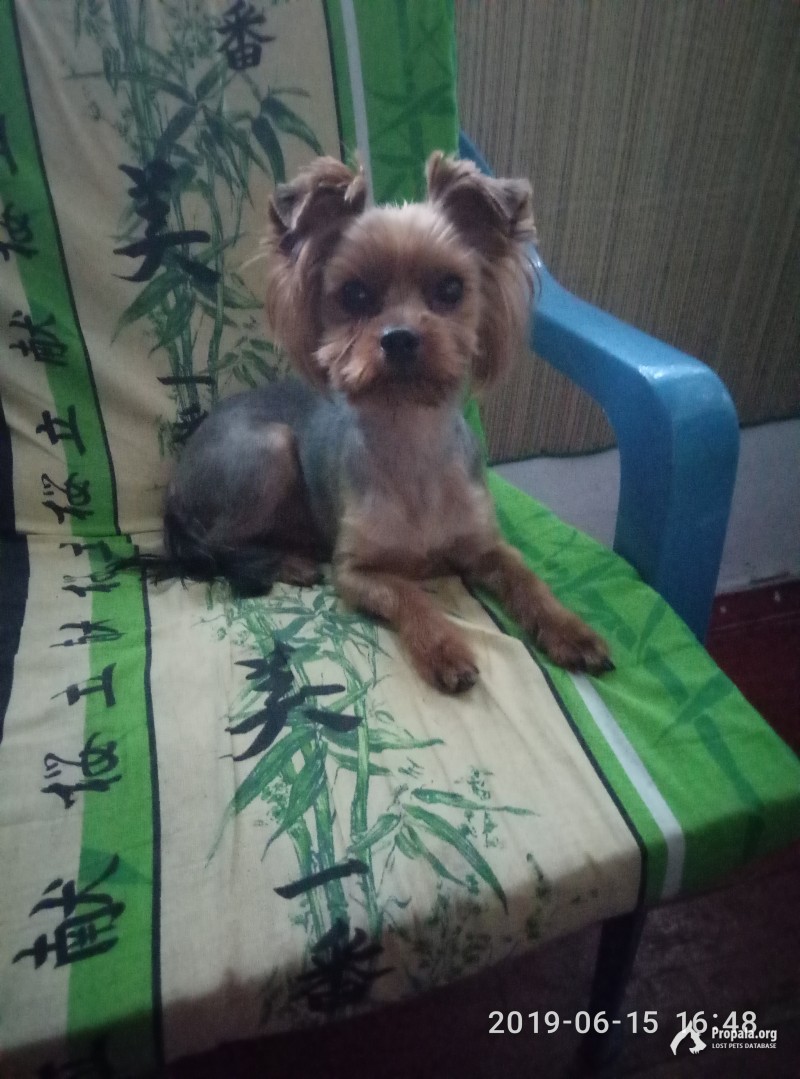 Помогите вернуть нашего мальчика