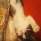 Котенок ищет дом