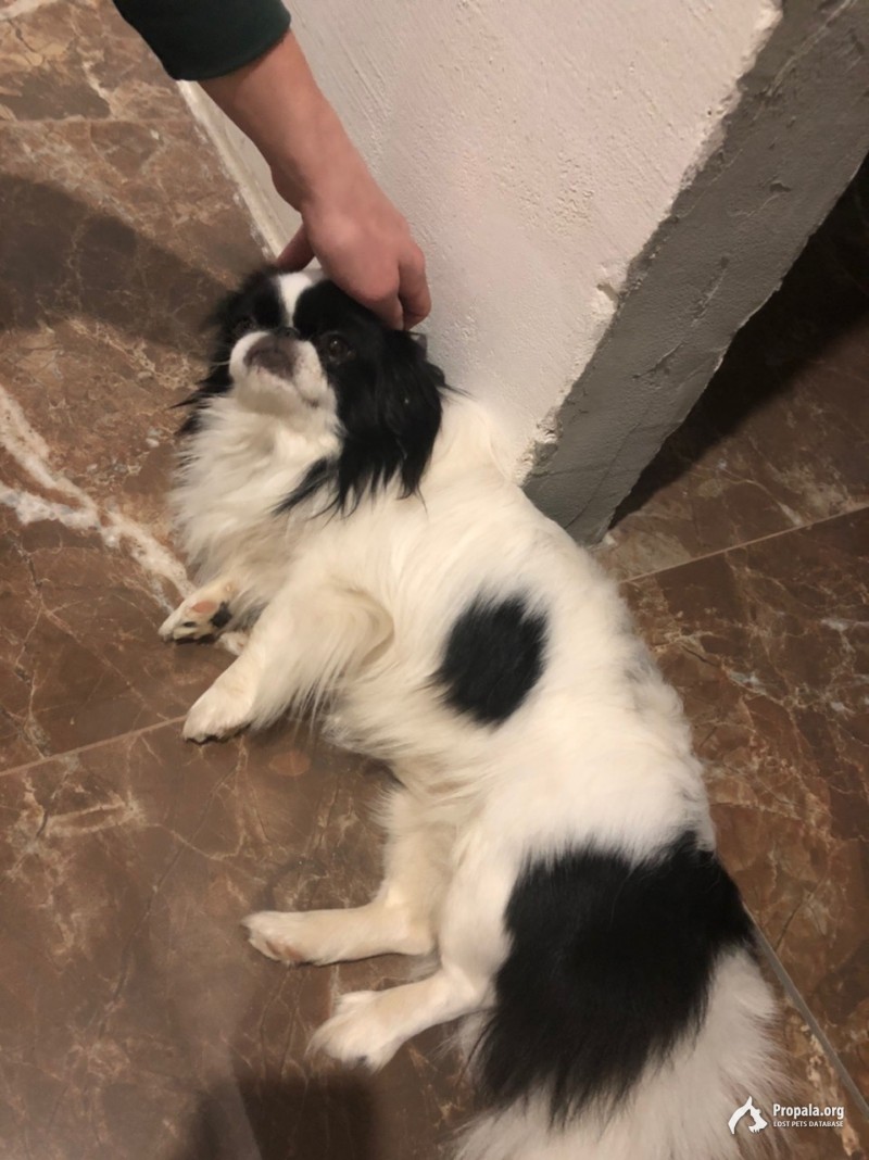 Пропал мальчик.