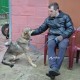 Милочка ищет дом