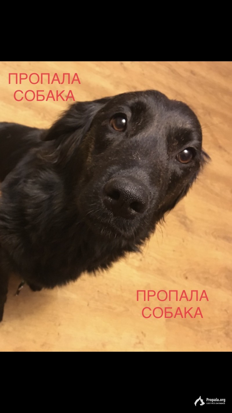 Ждём домой