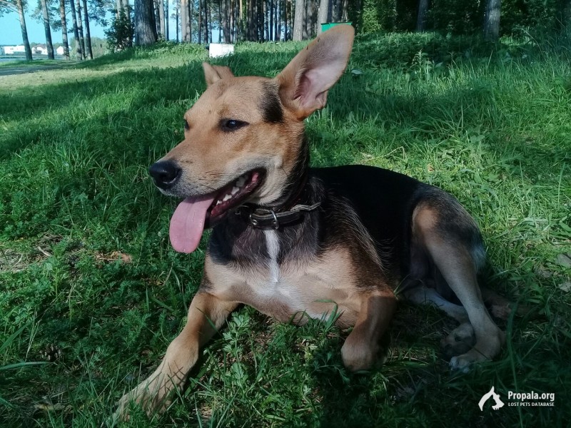 Девочка 3 года