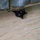 Потерялся черный кот
