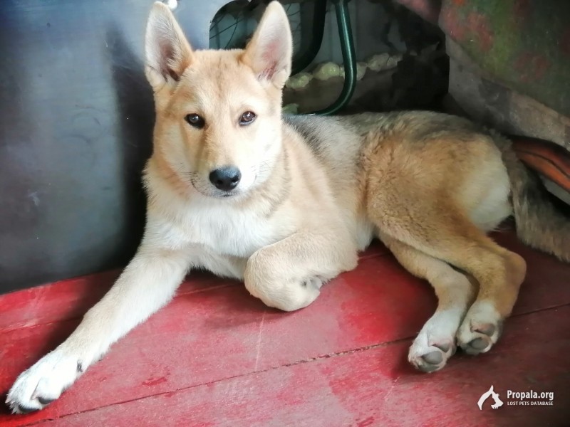 Помогите пожалуйста!