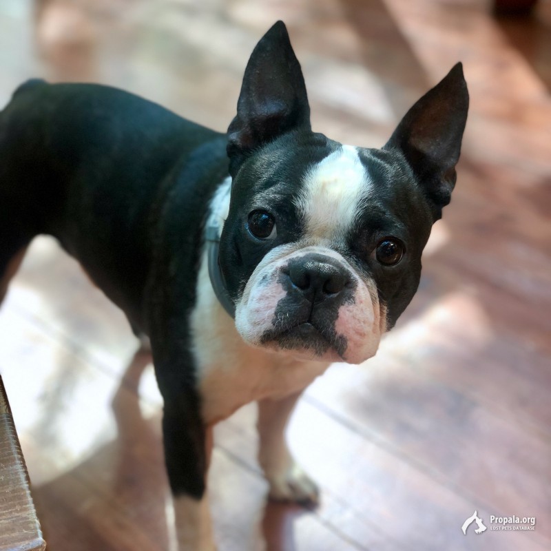 Ищем нашего малыша!