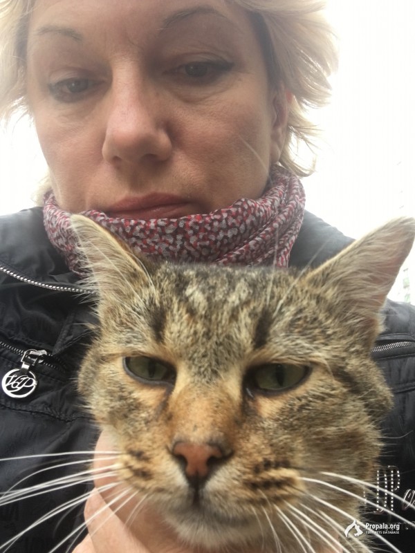 Возьмите классного кота!