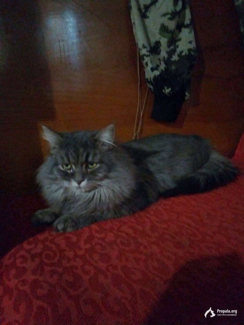 Егорьевский район