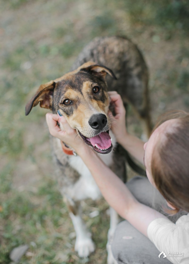 Сири, 2 года.