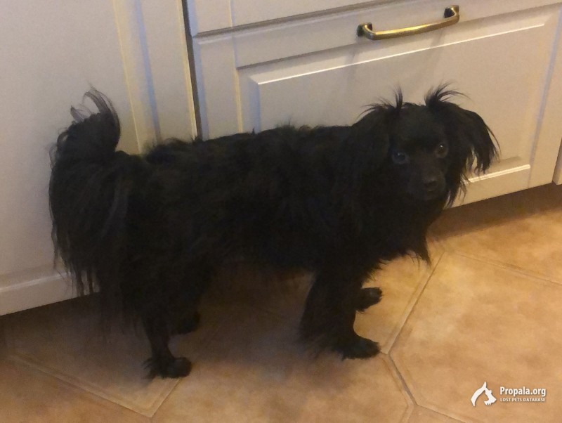 ПРОПАЛ ДРУГ!