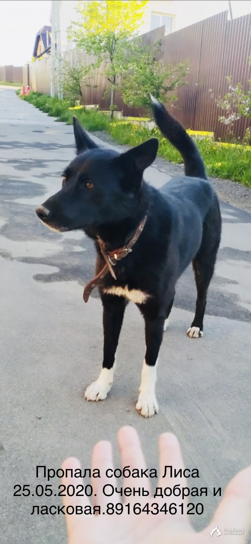 Пропала в Подольском районе