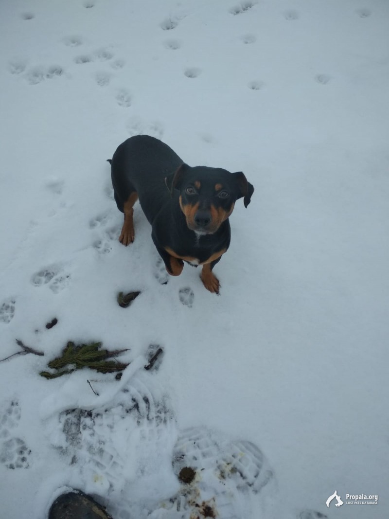 ПОМОГИТЕ НАЙТИ РЕБЁНКА!!!!!