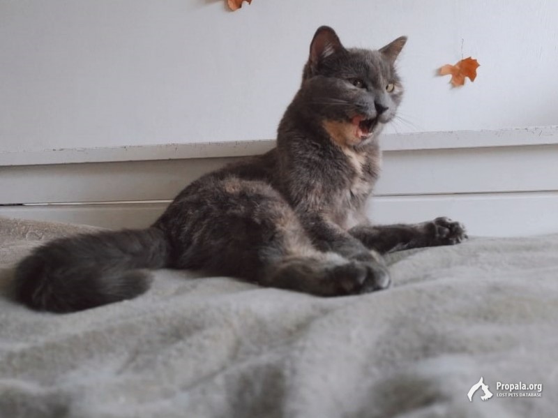 Район Вешняки, Москва